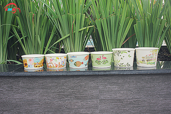 mua tô giấy ở đâu